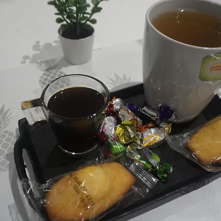 Grand T2 Jardin Wifi Parking Proche Gare 아파트