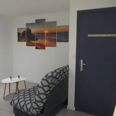 아파트 Grand T2 Jardin Wifi Parking Proche Gare *